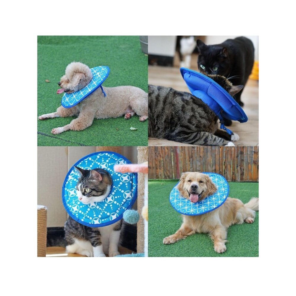Small Dog or Cat Soft Cone Collar